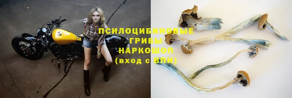 крисы Наволоки