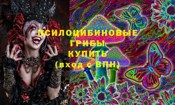 МДПВ Вязники