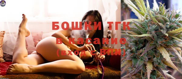 дживик Надым