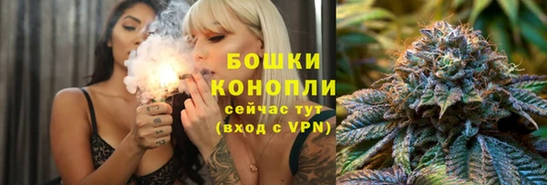 дживик Надым