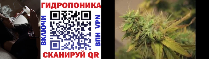 Канабис гибрид  OMG рабочий сайт  Новоалександровск 