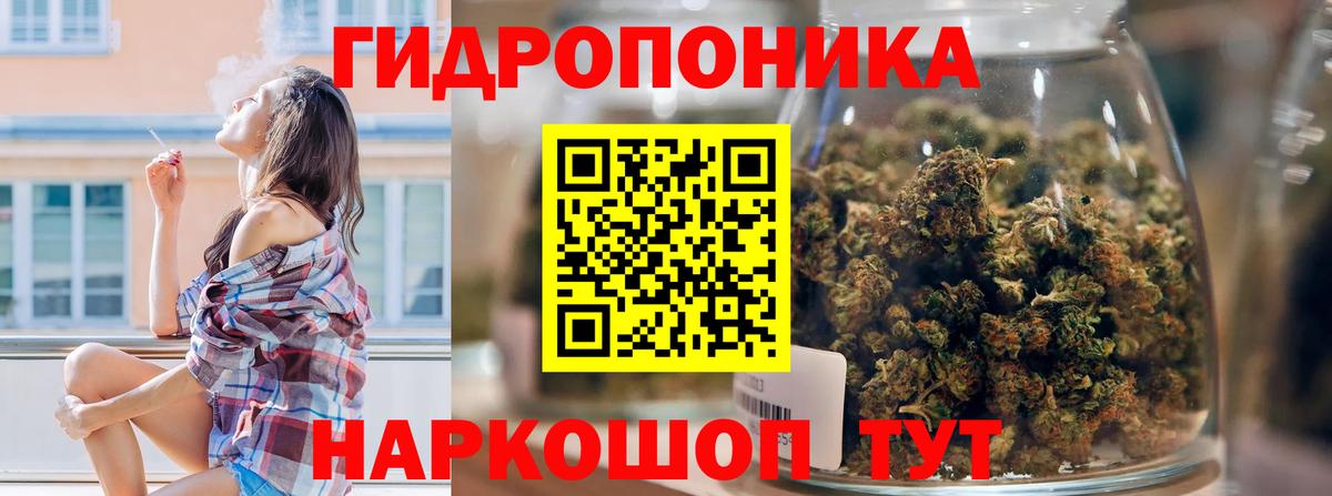 Конопля AK-47  Конопля ГИДРОПОН  Бошки марихуана Bruce Banner  Новоалександровск  Вход с VPN 